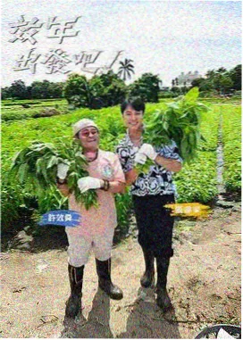 榜单作品封面二
